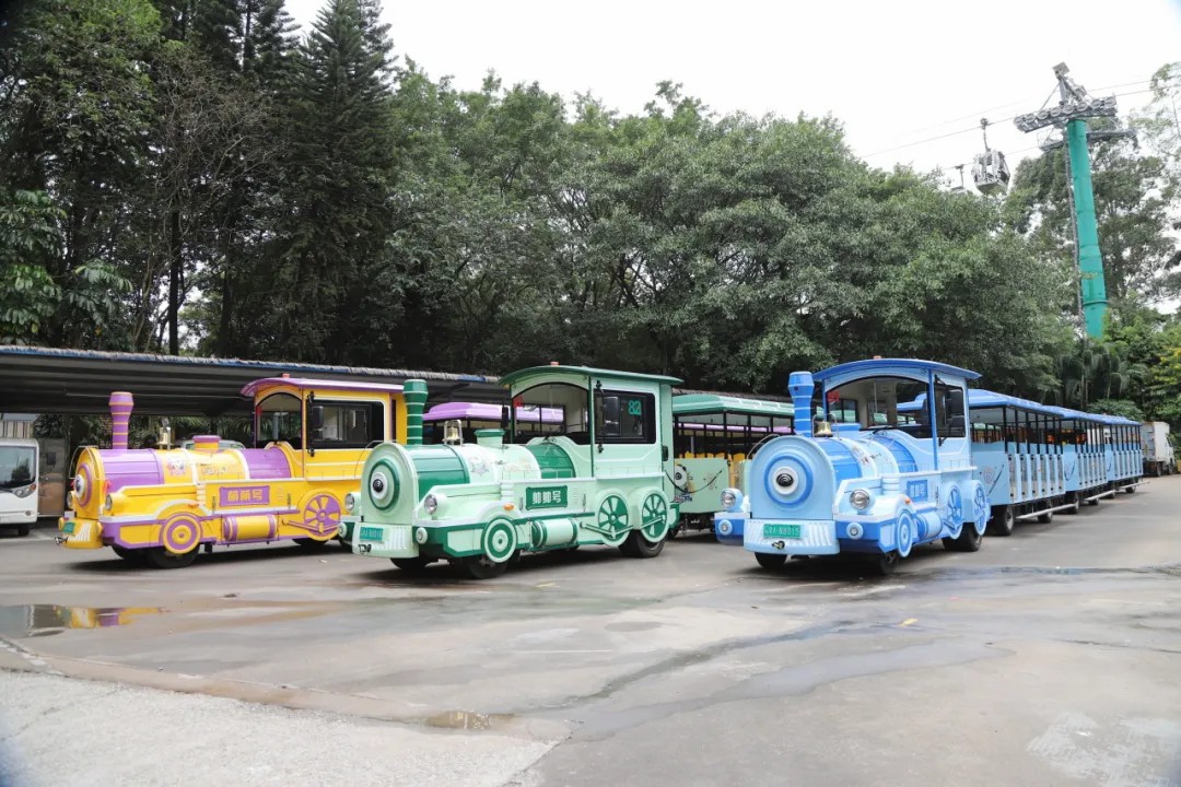 4萬公里 ，100%出勤率！宇通觀光車助力長隆打造沉浸式生態(tài)之旅